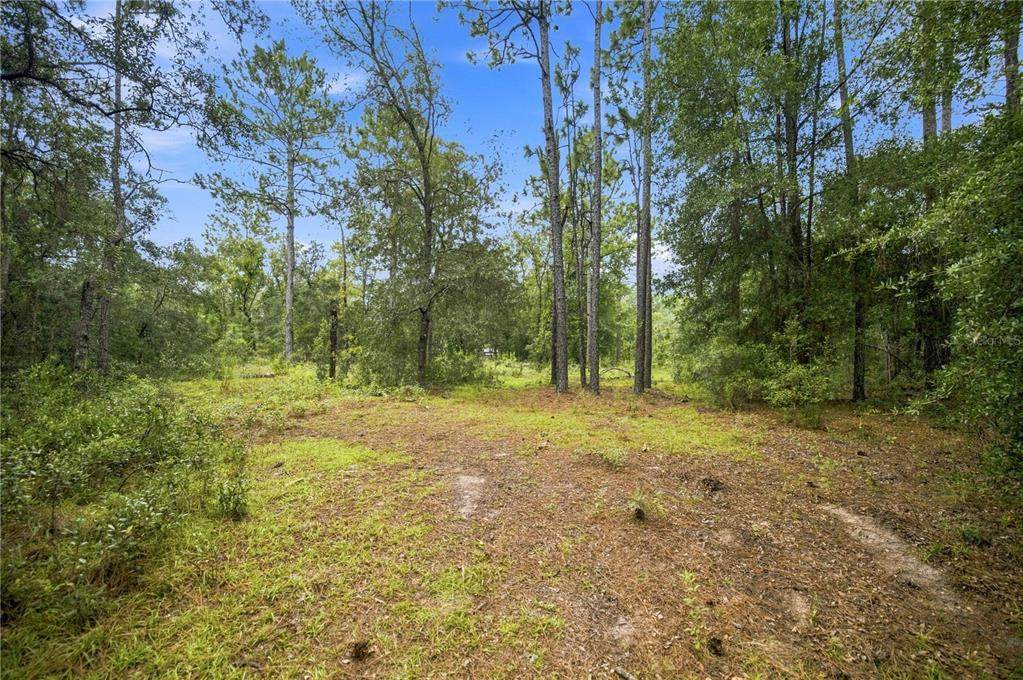 21350 66TH Street - Photo 1
