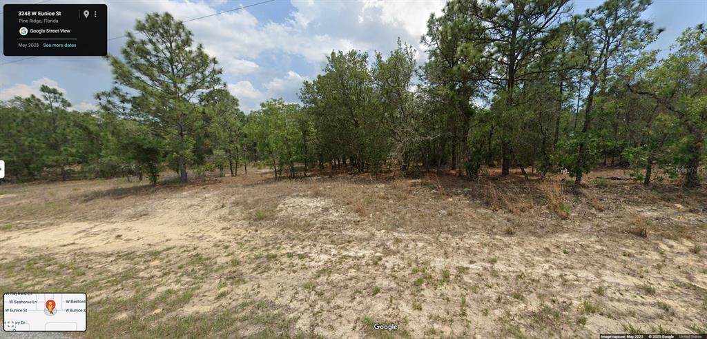 3248 Eunice Drive - Photo 1
