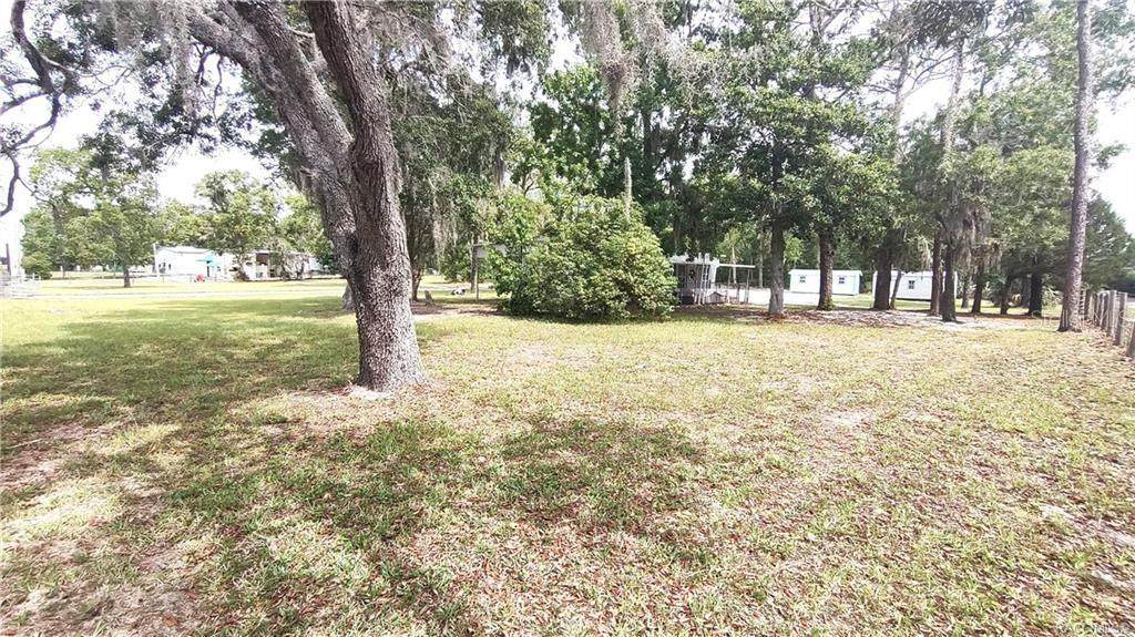 7127 Grover Cleveland Boulevard - Photo 1