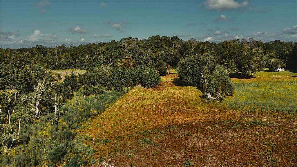 00 Hall Lake Road - Photo 1