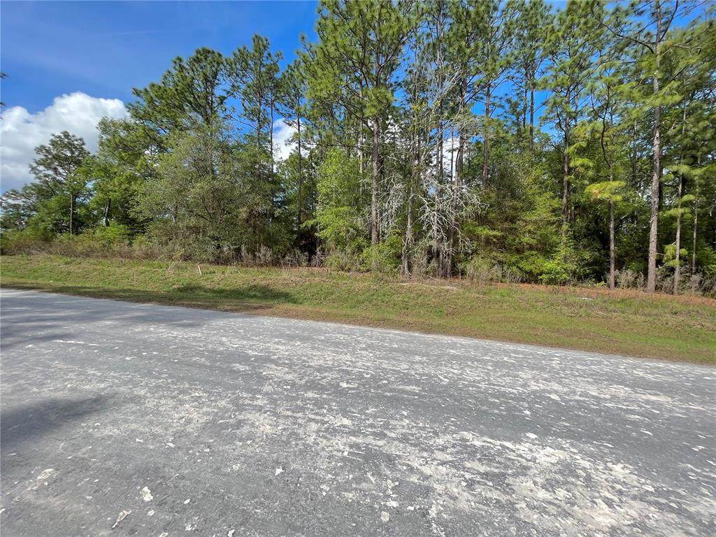  0 SW 140TH COURT - Photo 1