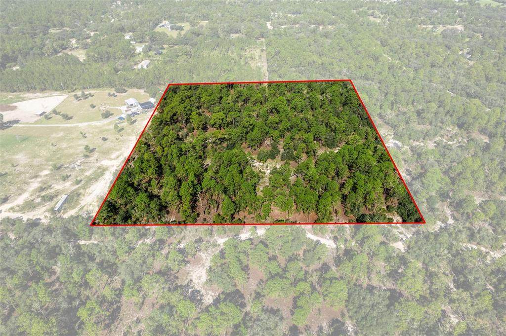 10686 Statue Point - Photo 1
