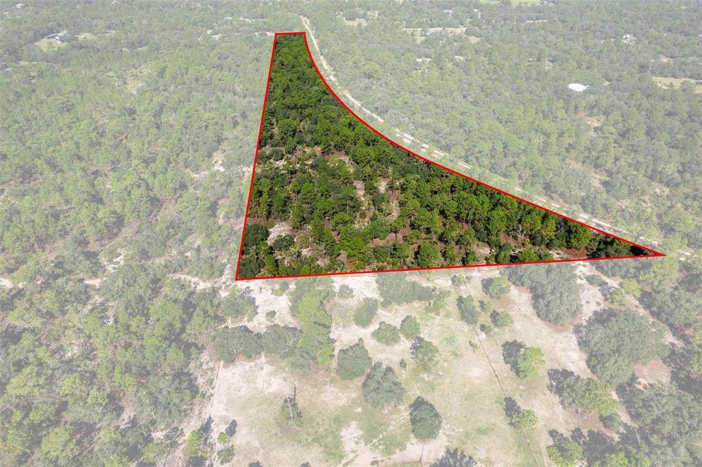 10806 Statue Point - Photo 1