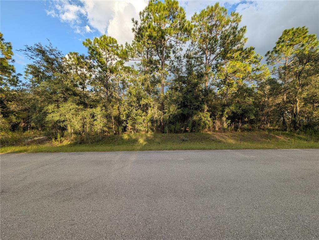  Buena Vista Road - Photo 1