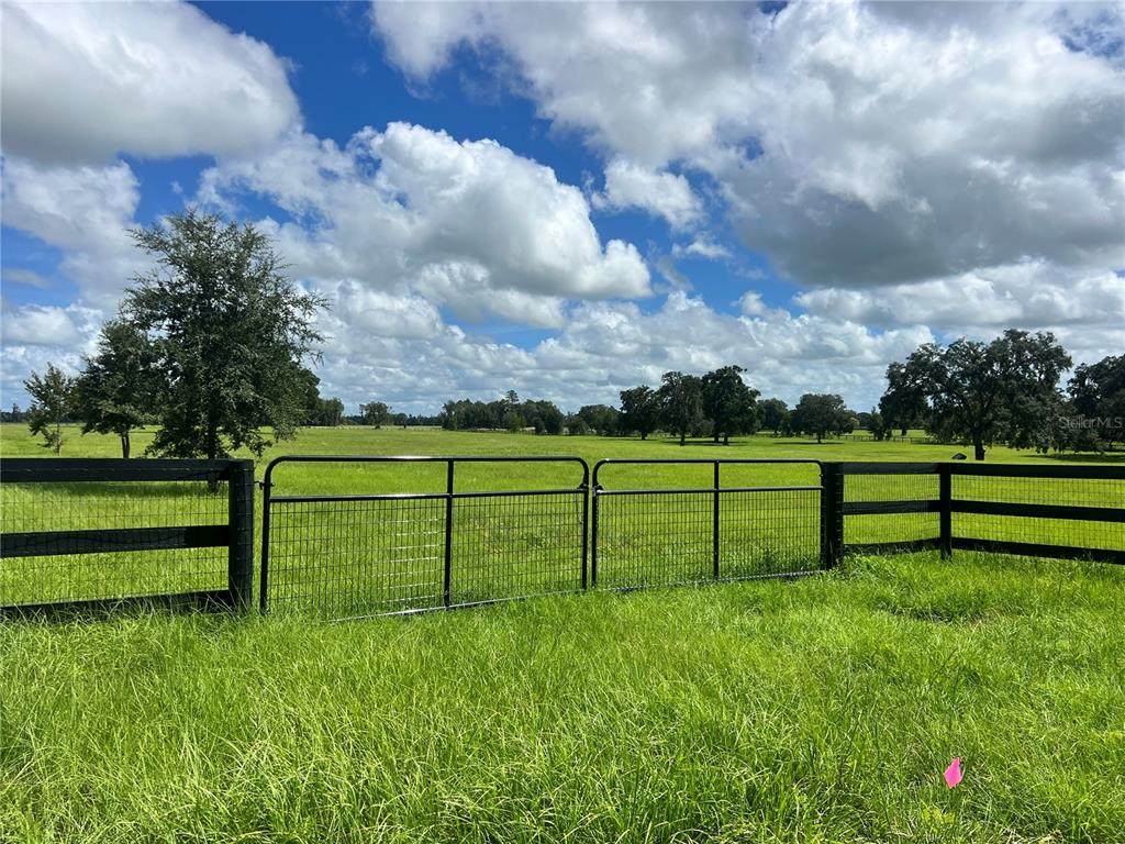 TBD 464B Highway - Photo 1