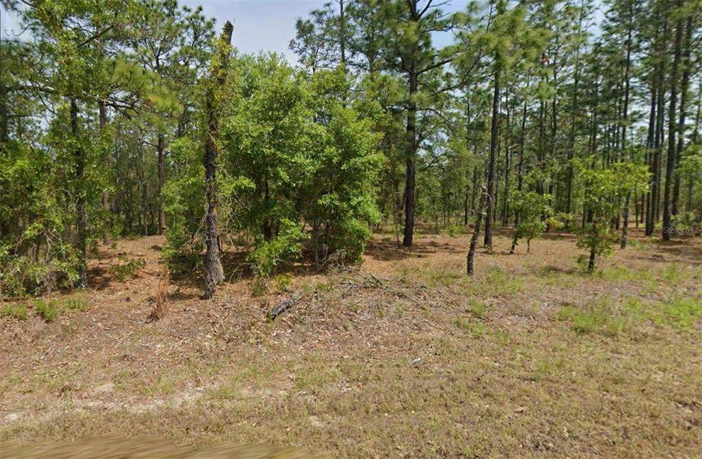 00 Columbine Avenue - Photo 1