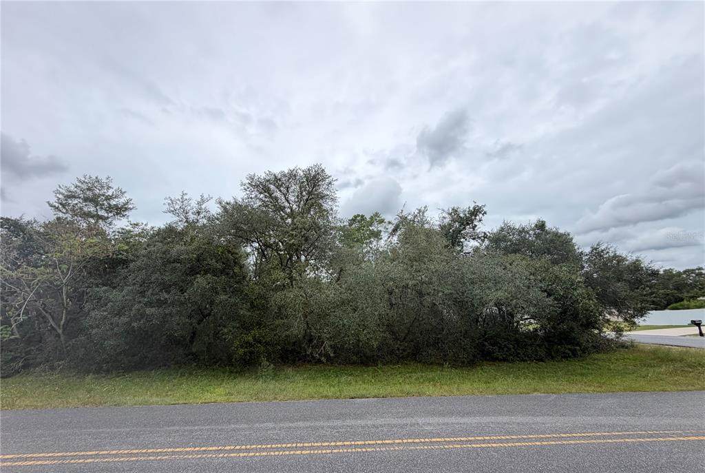  Marion Oaks Golf Rd And 166Th Place Road - Photo 1