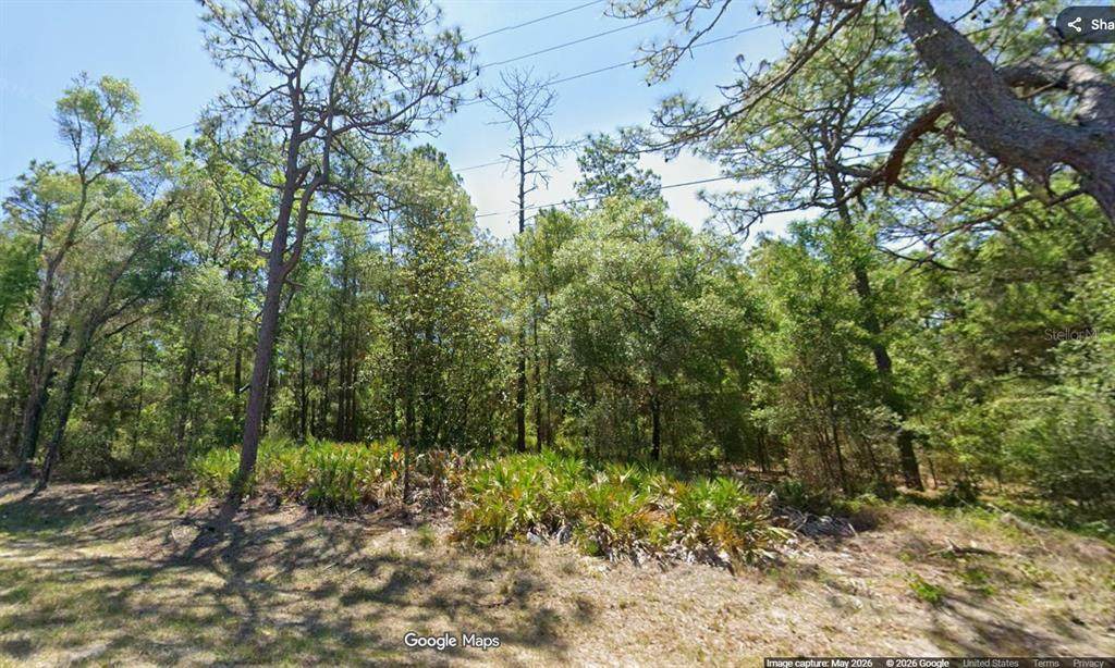 7394 Dunnellon Road - Photo 1