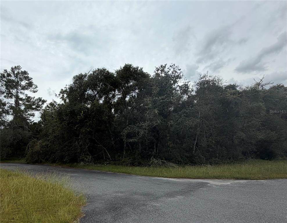  Marion Oaks Golf Rd And 38Th Ct - Photo 1