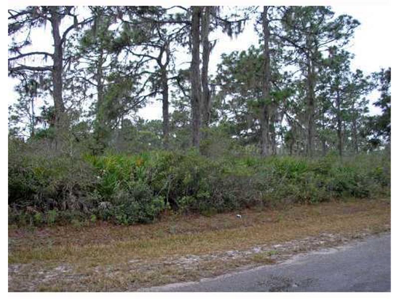 417 Camellia Drive - Photo 1