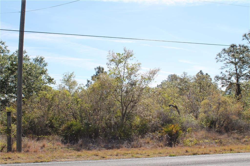 Tiger Lake Road - Photo 1