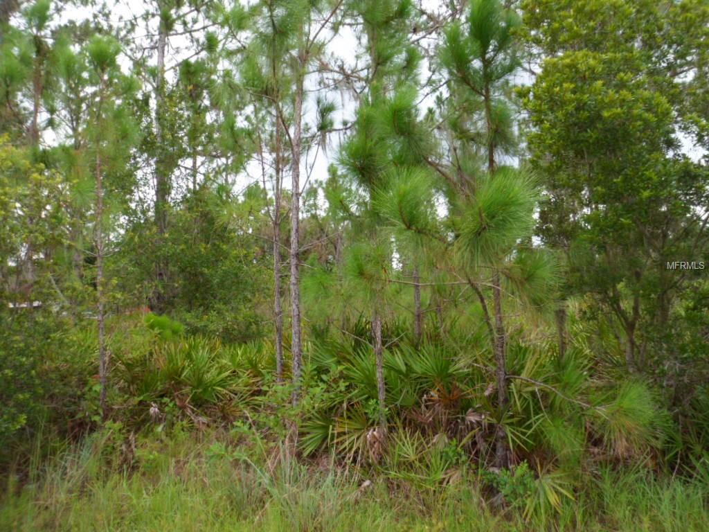 Hwy 98 W - Photo 1