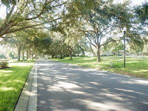 Juliana Reserve Drive - Photo 1