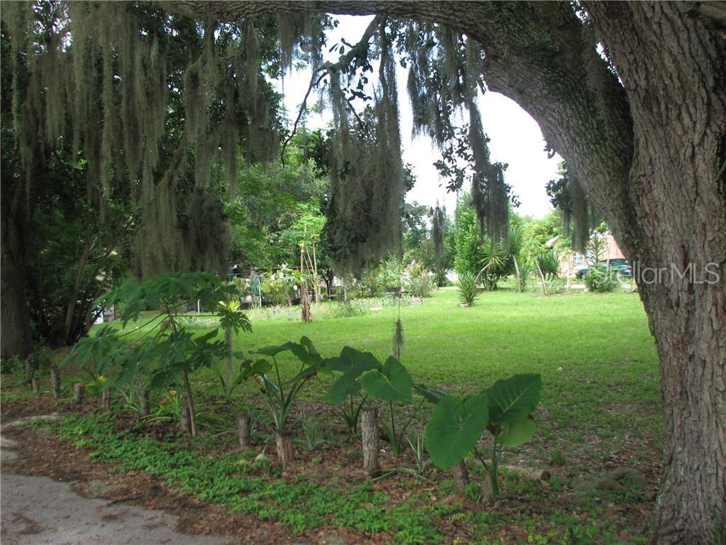 212 Pine Street - Photo 1
