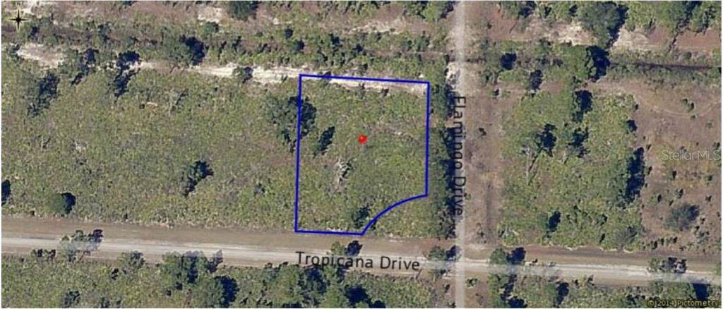 0 Tropicana Drive - Photo 1