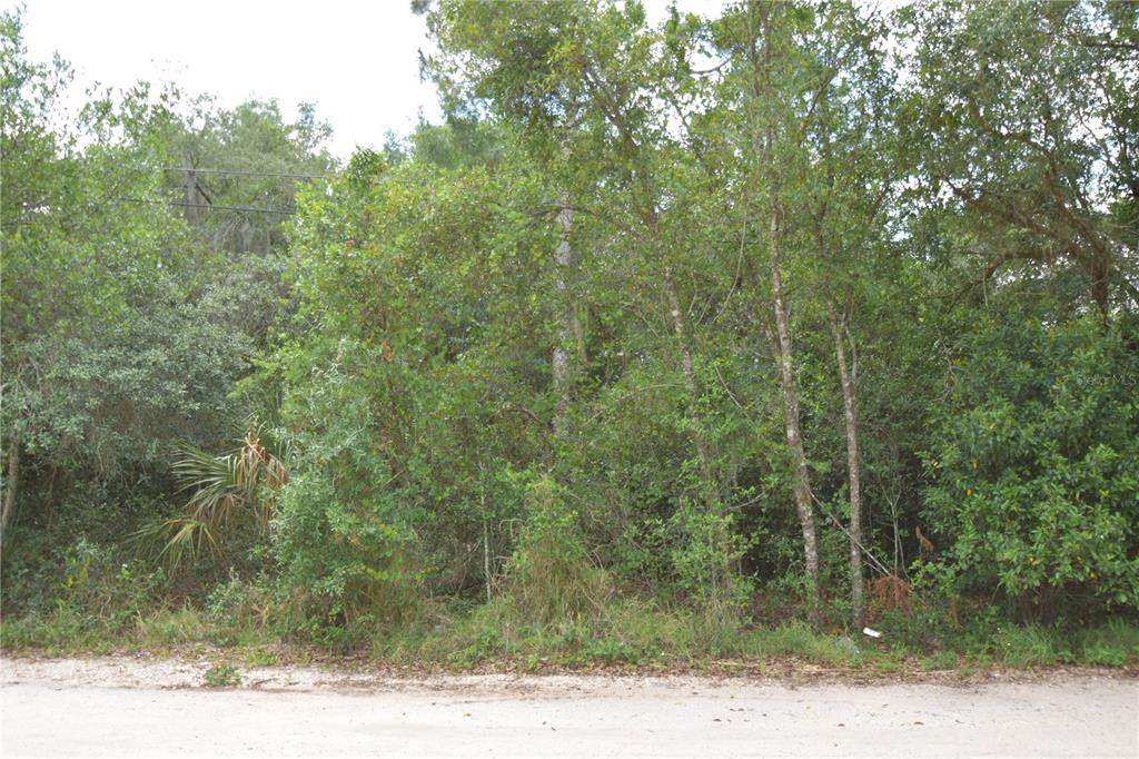 Phillips Road - Photo 1