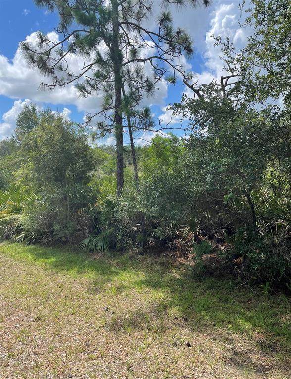 424 Orchid Drive - Photo 1