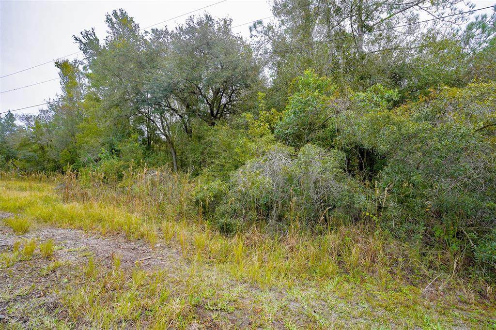 12525 Gameland Drive - Photo 1