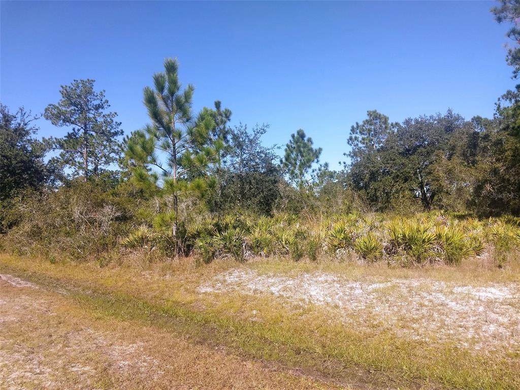 402 Azalea Drive - Photo 1