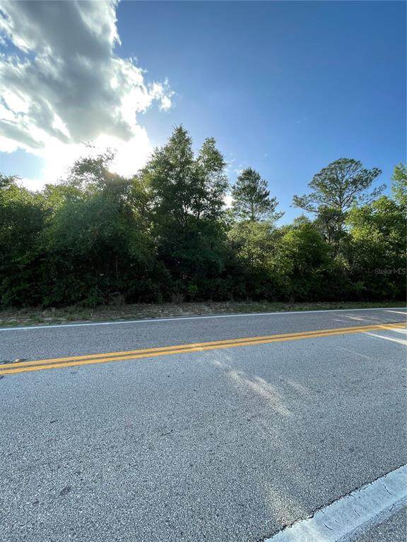 Lake Marion Creek Road - Photo 1