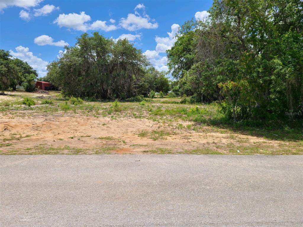 4138 Orchid Boulevard - Photo 1