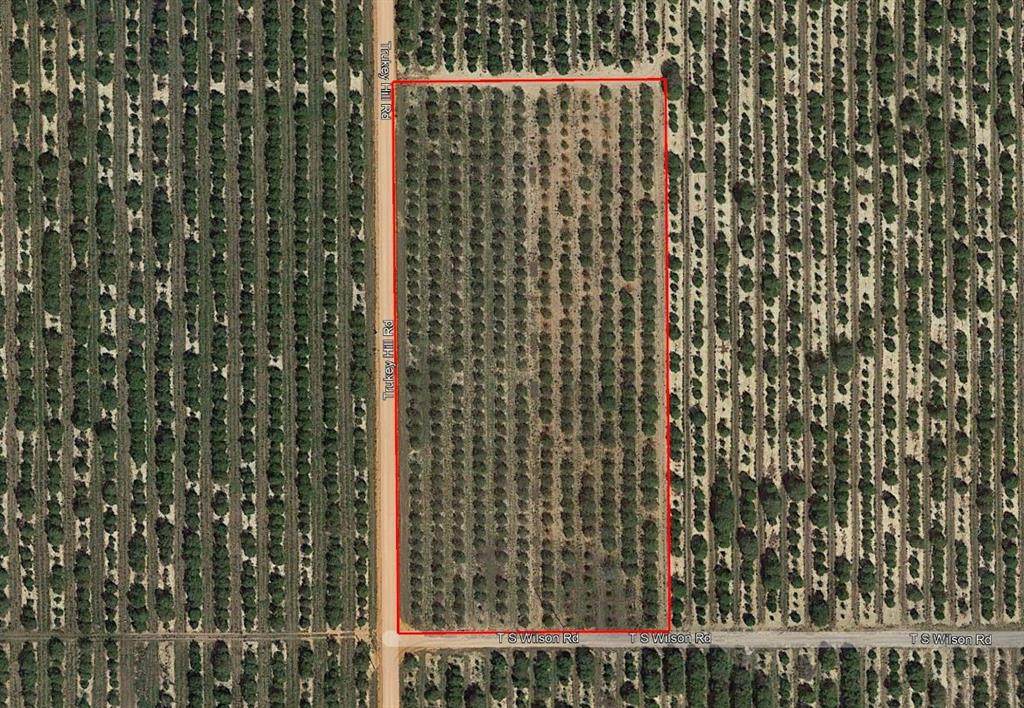 Ts Wilson Road Road - Photo 1