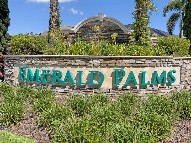 4409 Emerald Palms Lane - Photo 1
