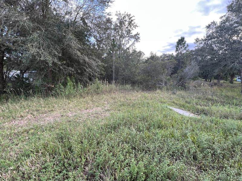 9876 State Road 60 - Photo 1