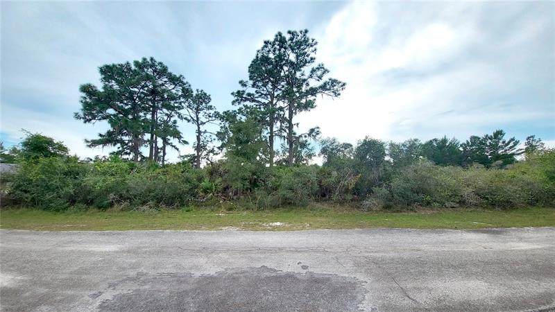 709 Bougainvillea - Photo 1