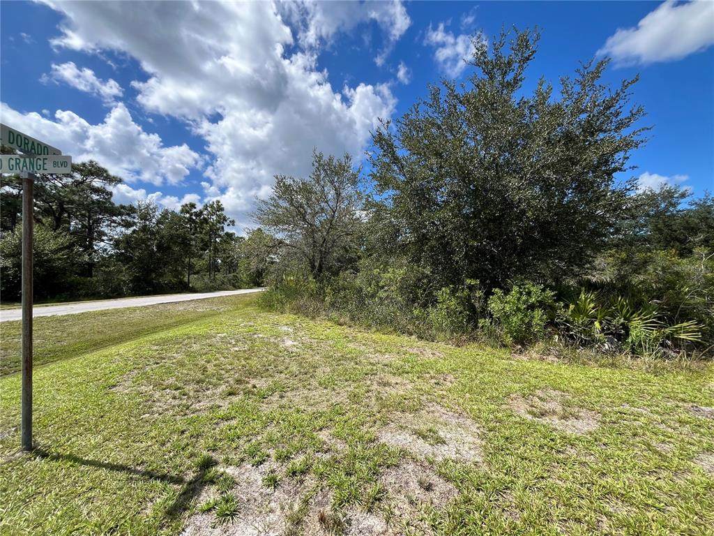2 El Dorado Drive - Photo 1
