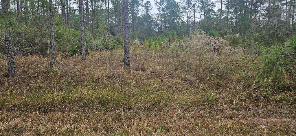 408 Pandora Drive - Photo 1