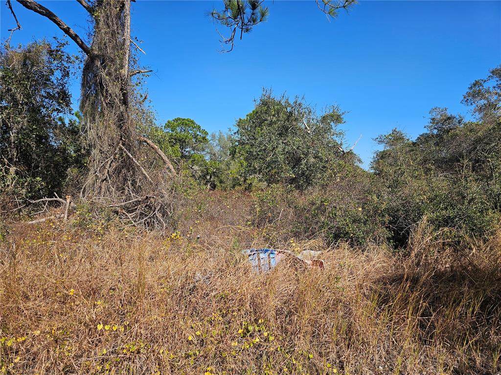 406 Hollow Lane - Photo 1