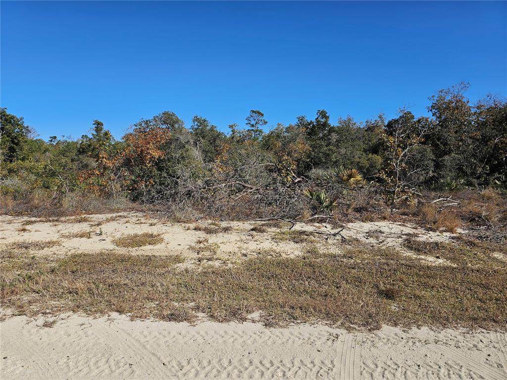 680 Morningside Drive - Photo 1