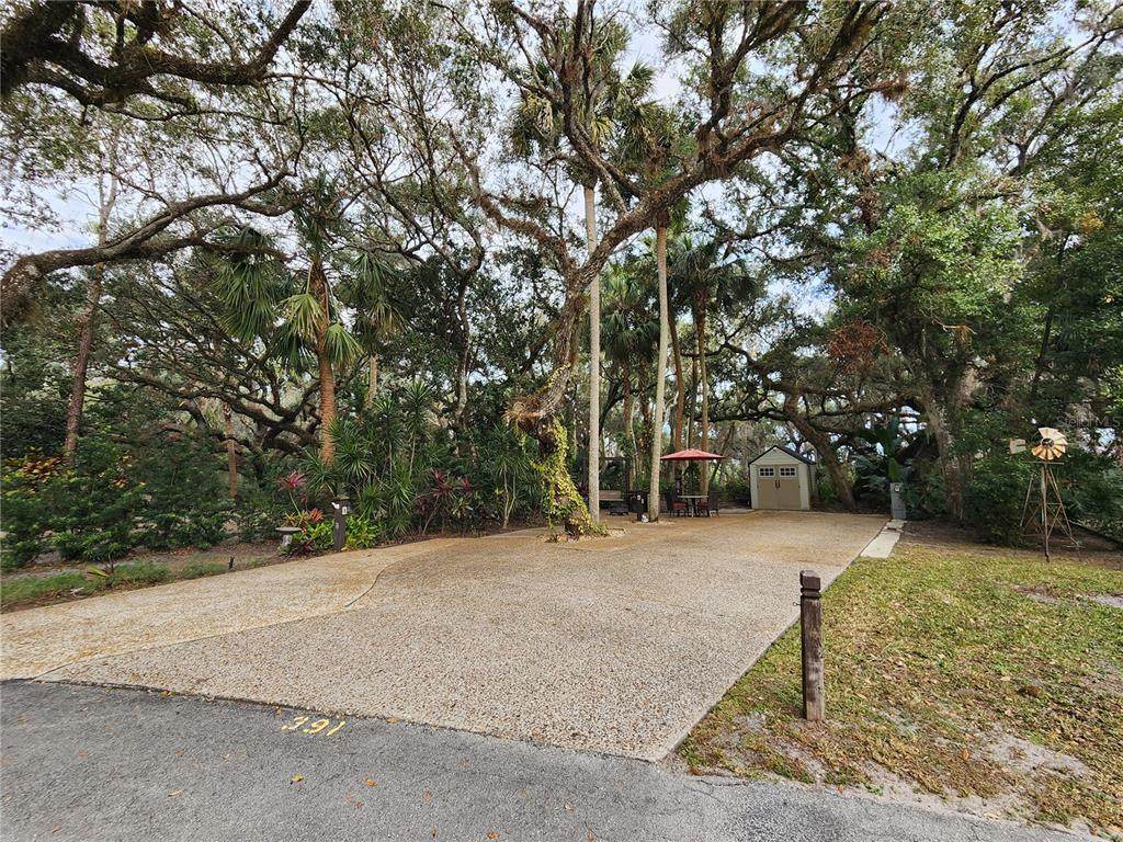391 Longhorn Drive - Photo 1