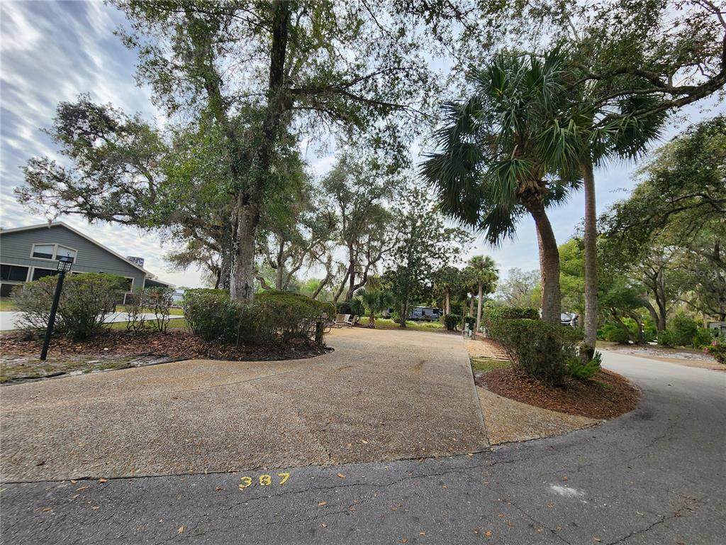 387 Longhorn Drive - Photo 1