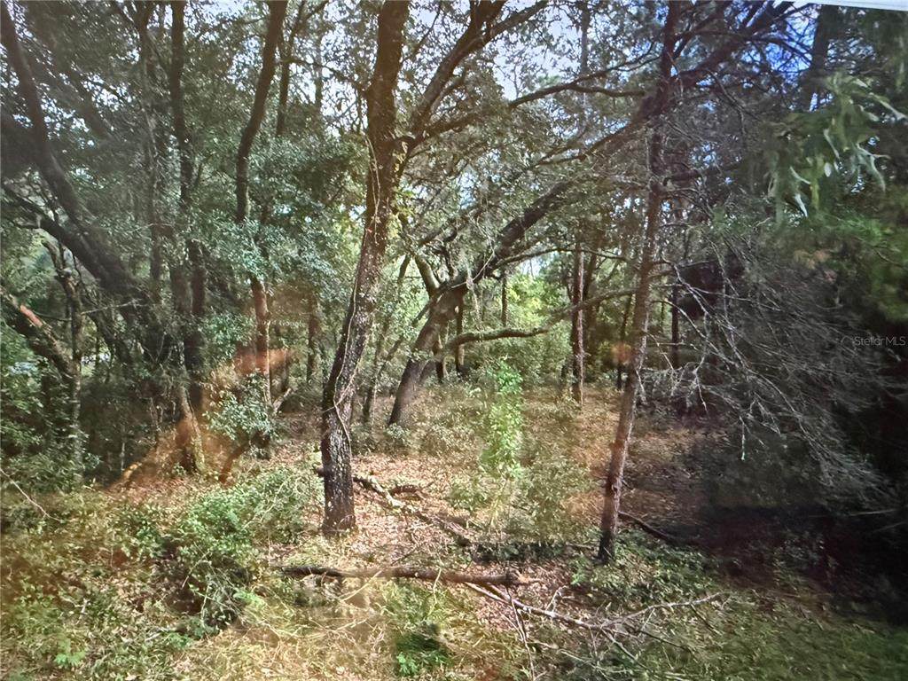 0 117TH AVE Avenue - Photo 1