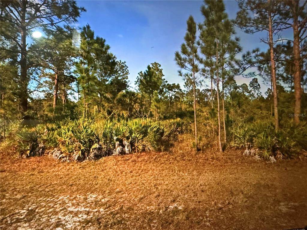 0 Key West Drive - Photo 1