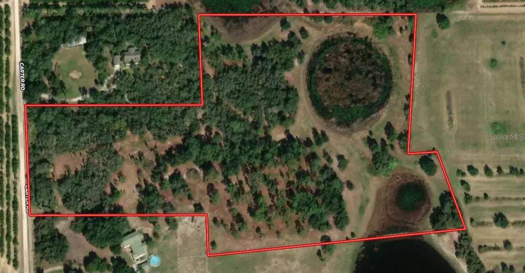  Mammoth Grove Road - Photo 1