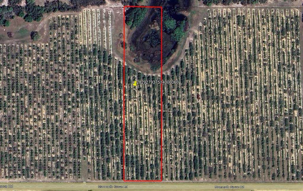  Mammoth Grove Road - Photo 1