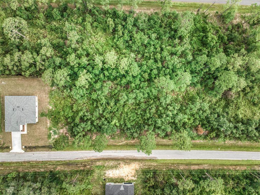 7631 Bernal Drive - Photo 1