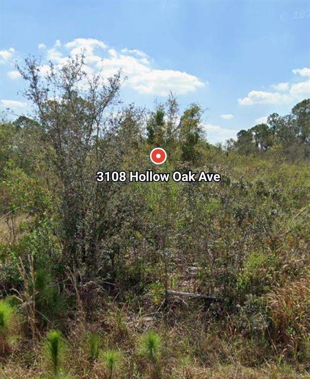 3108 Hollow Oak Avenue - Photo 1