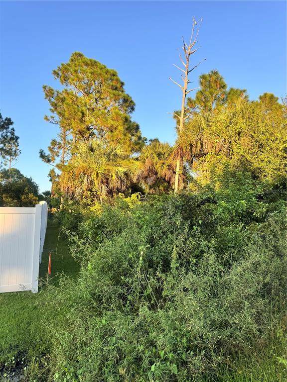  Colorade Avenue - Photo 1