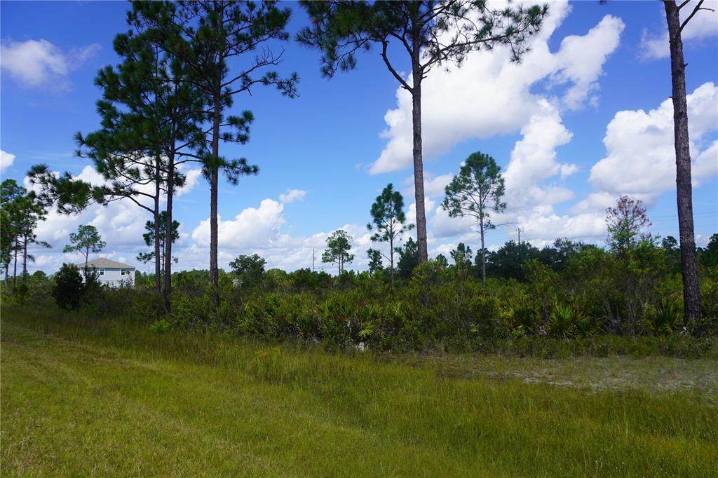 402 Japonica Avenue - Photo 1