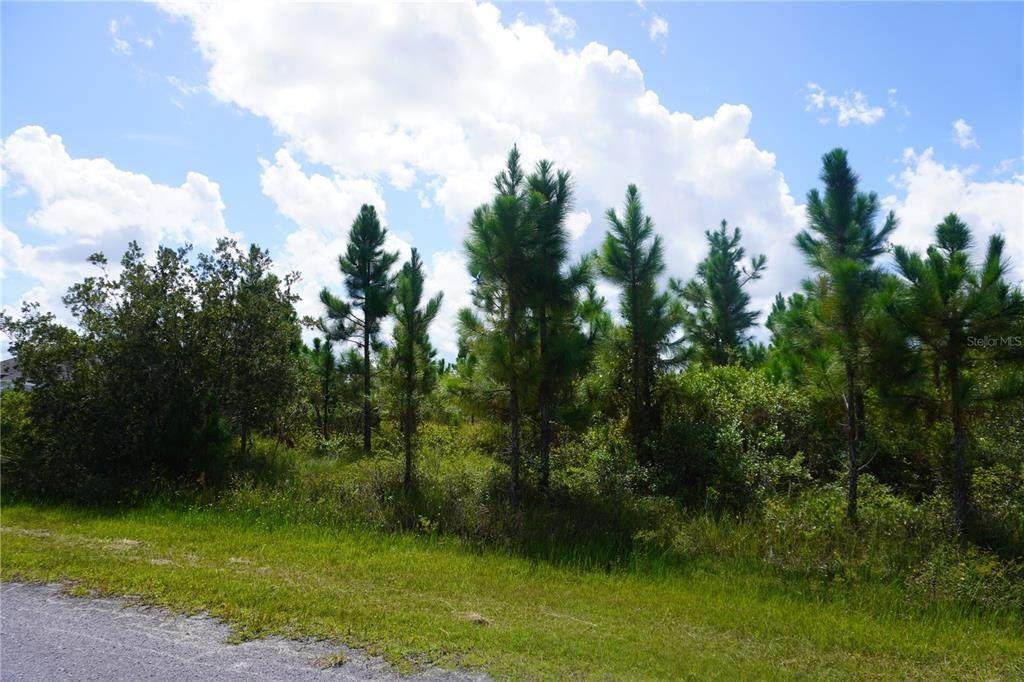 221 Tropicana Drive - Photo 1