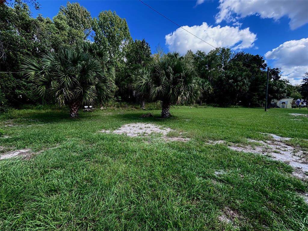 404 Grove Street - Photo 1