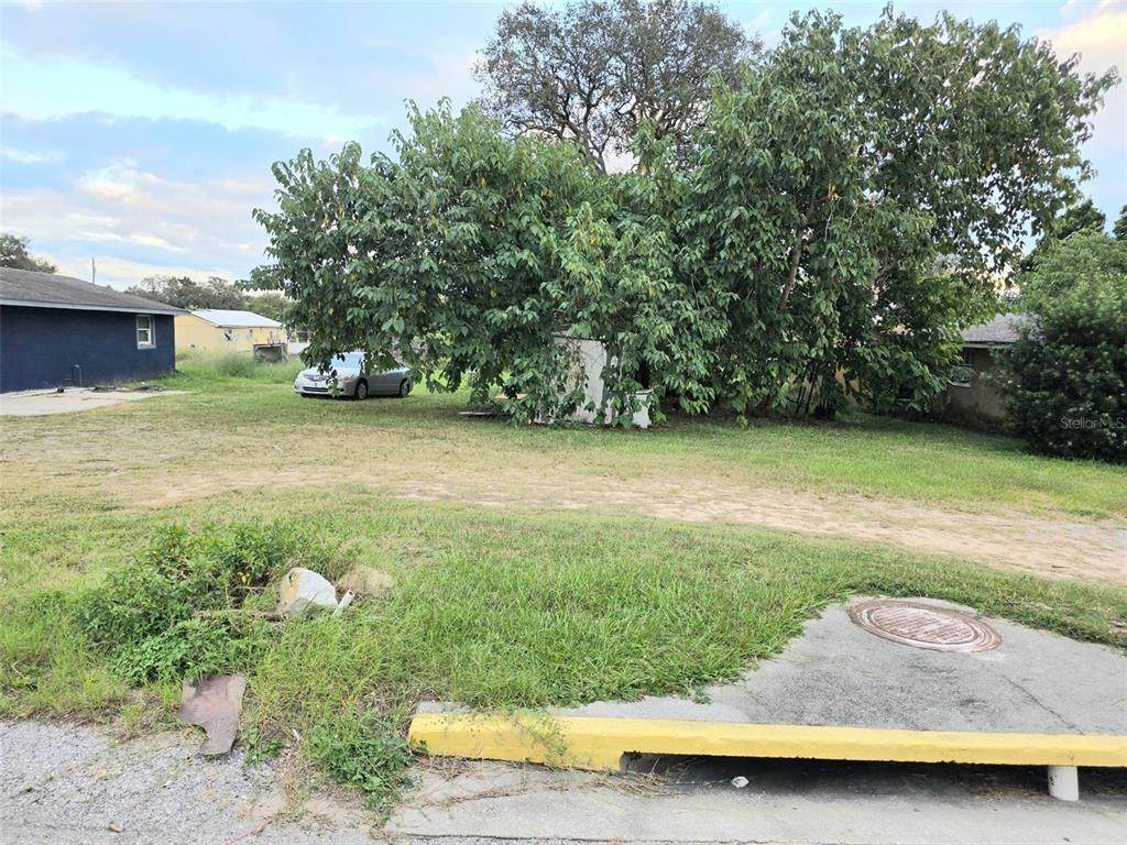  Tangerine Street - Photo 1