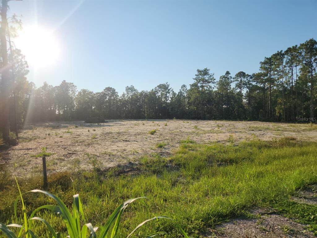  135TH AVENUE - Photo 1