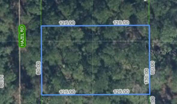 5708 Hazel Road - Photo 1