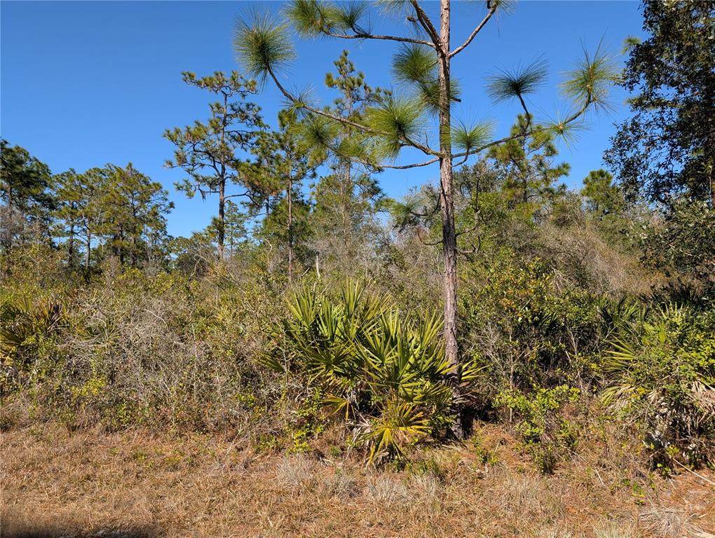 612 Magnolia Drive - Photo 1