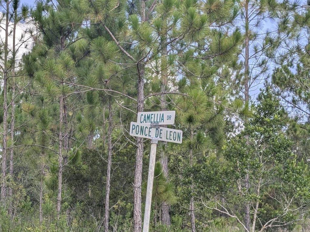 401 Camellia Drive - Photo 1